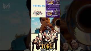 Banda Toro 15 de Marzo