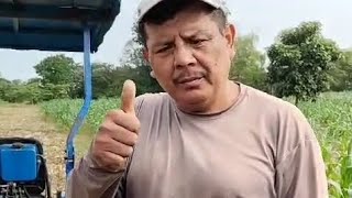 SEMBRANDO MAÍZ 🌽 ELOTERO CON MOTO TRACTOR MEKATECH