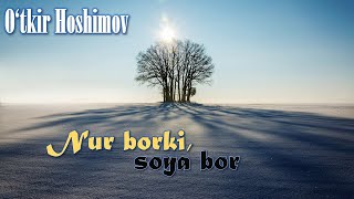 O‘tkir Hoshimov. "Nur borki, soya bor" romani. 2-yakuniy qism