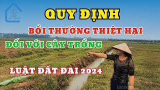 Luật Đất Đai 2024 | Quy Định về bồi thường  thiệt hại đối với cây trồng khi nhà nước thu hồi đất