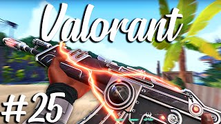 "WHOO DOGGY!" Valorant Highlights & Funny Moments #25!