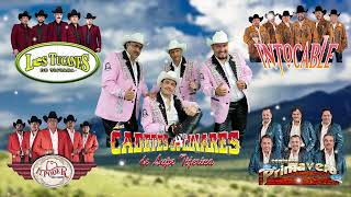 Los Dos Carnales, Cadetes De Linares, Ramon Ayala, Exterminador, Invasores Puros Corridos