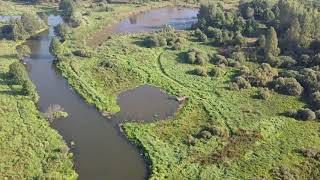 Окрестности дома купца Морозова в Карабаново, на реке Шерна