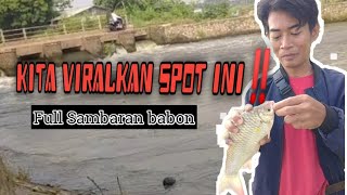 Tolong beri tau Para pemancing "spot ini penuh dengan Sambaran Babon"#wadermaniaindonesia