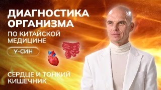 Диагностика организма по Китайской медицине У-Син. СЕРДЦЕ. ЧАСТЬ 14