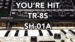 YOU’RE HIT (Roland AIRA TR-8S & Boutique SH-01A