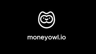 MoneyOwl product launch demo