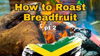 How to Roast Breadfruit in Jamaica Part 2 | I ALMOST BURN MYSELF | Roast Breadfruit and Tin Mackerel