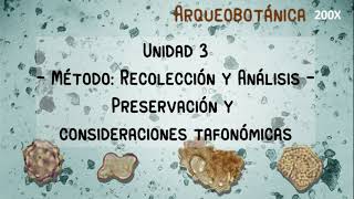 Unidad 3: Recolección y Análisis - Preservación Parte2