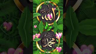 Name of Allah🕋 Muhammad is so beautiful ♥🥰 #trending #trendingshorts #youtubeshort #allah#muhammadﷺ