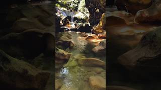 Explore Air Terjun Lumut Di Tengah Hutan Belantara #viral #shortvideo #shorts