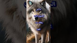 ما هو الحيوان الذي يخاف منه الجن #معلومات_عامة #shorts #youtubeshorts #اكسبلور #تاريخ