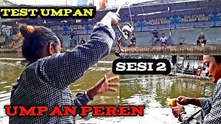 umpan peren sesi 2 || makin gacor ternyata