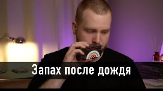 Парфюм с запахом после дождя