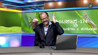 ತೊಗರಿಯ ಕೀಟ-ಪೀಡೆಗಳು & ಹೆಲಿಕೊವರ್ಪ - ಡಾ.ರಾಮೇಗೌಡ | Red gram Pest & Helicoverpa armigera | Pod Borer |