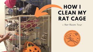 CLEANING MY PET RATS CAGE (+Rat Room Tour)