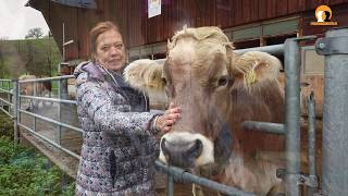 Der Beginn des Erwachens "Toni Kathriner" Lebenshof ZuKuhnft