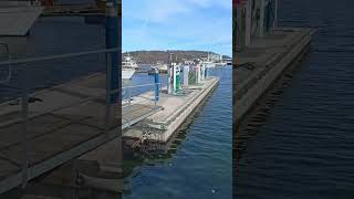 Sandefjord - Norwegia