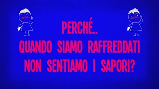 Perché quando siamo raffreddati non sentiamo i sapori?