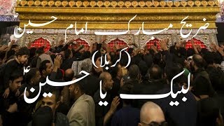 zari mubarak of imam hussain(karbala)