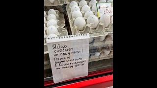 Страсти в курятнике продолжаются//Яичный апокалипсис!//