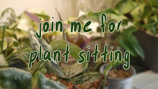 HOUSEPLANT SITTING | watering, plant care