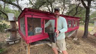 Our Homestead Morning Chores...so far.