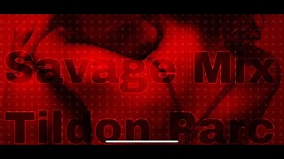 Savage Edition Ft. Tildon Parc (WFM Official Music Video 2020)