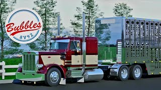 Peterbilt 359 Paint jobs