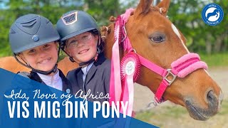 🐴 Vis mig din pony: Ida, Nova og Africa 🐴