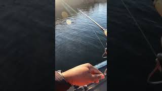 I HOOKED INTO SOMETHING HUGE USING ONLY 5 LB TEST ON MY JERKBAIT! PT.1 #fishing #viral #bassfishing