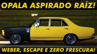 OPALA ASPIRADO RAÍZ! Weber, 6x2 e zero frescura!