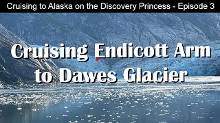 Discovery Princess Alaska Cruise | Dawes Glacier | Endicott Arm