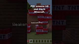 When someone killed your dog in Minecraft. #fypシ #minecraft #funny #trolling