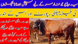 10 Bachro Ke Fezibulity Belity Report || Purafet 25 Sa La Kr 40 Hazar Tk 90 Din Ma 1Janwar Ke