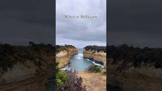 The best thing we did when visiting Melbourne 🚗🐨 #greatoceanroad #travel #melbourne #travelvlog