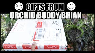 Special Unboxing From Brian / Artwork Orchids