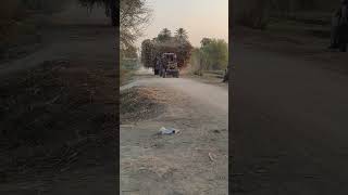 New Belarus Tractor Sugarcane Loaded Trolley Village Punjab Pakistan #shorts