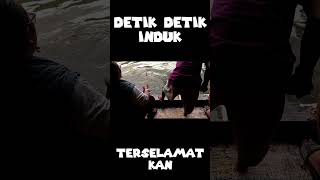 DETIK DETIK BABON LELE terselamatkan #shorts