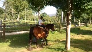 Idada a Cavallo