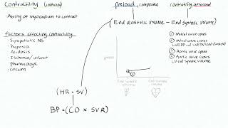 Cardiac 1 - Blood pressure determinants, stroke volume, pressure volume curve, contractility