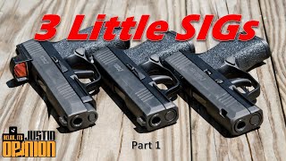 The 3 Little SIGs, Pt. 1: Talons and More