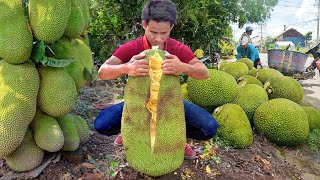 The Most Unusual Way They Harvest and Transport Fruits Around the World