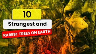 10 Strangest and Rarest Trees on Earth