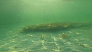 Point of Rocks, Siesta Key - Raw Underwater Video with GoPro