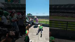 Check out Tony G throw centennial pitch for Oakland @Athletics! #pizzaiolo #pizza #pizzalovers