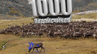 1000 ПОДПИСЧИКОВ!!! СПАСИБО ДРУЗЬЯ!!!!