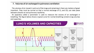 physics of respiratory system part 4