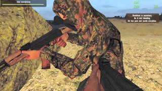 Arma 2 - cells negligent discharge