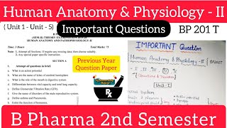 Human Anatomy & Physiology 2nd ll Most Important Questions ll Questions Paper ll B Pharma 2nd Sem.